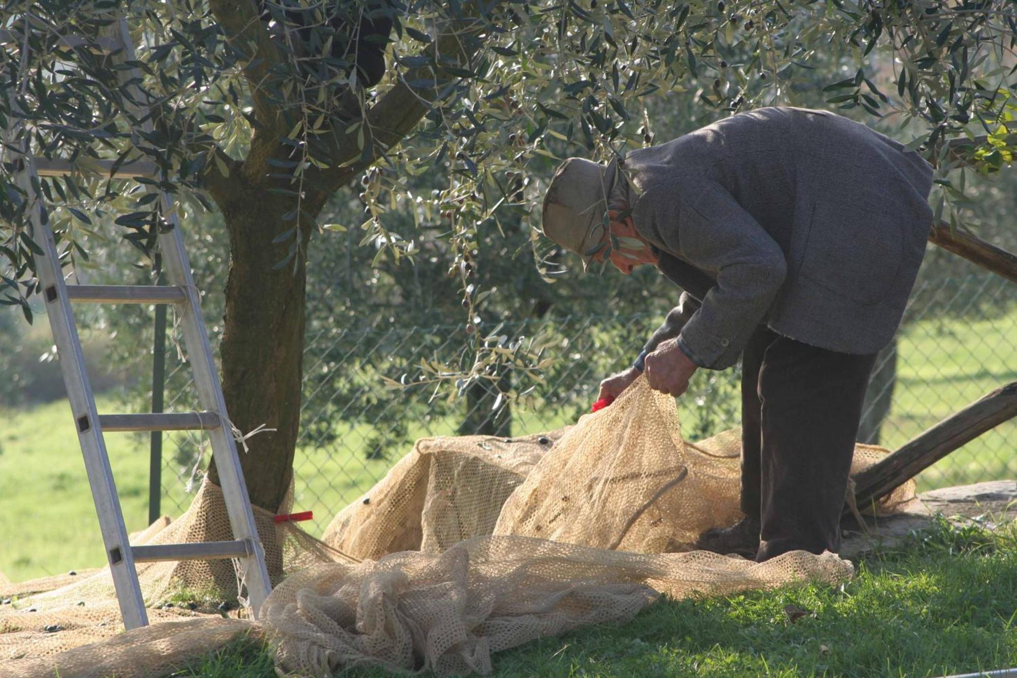 Agriturismo Le Ceregne Bio Pieve Santo Stefano Extérieur photo